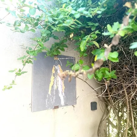 Les Madones Appartement Nîmes Buitenkant foto